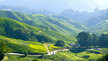 如何解決導(dǎo)電PC注塑件熔接痕問(wèn)題？